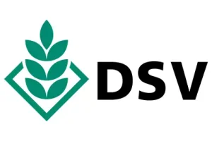 DSV